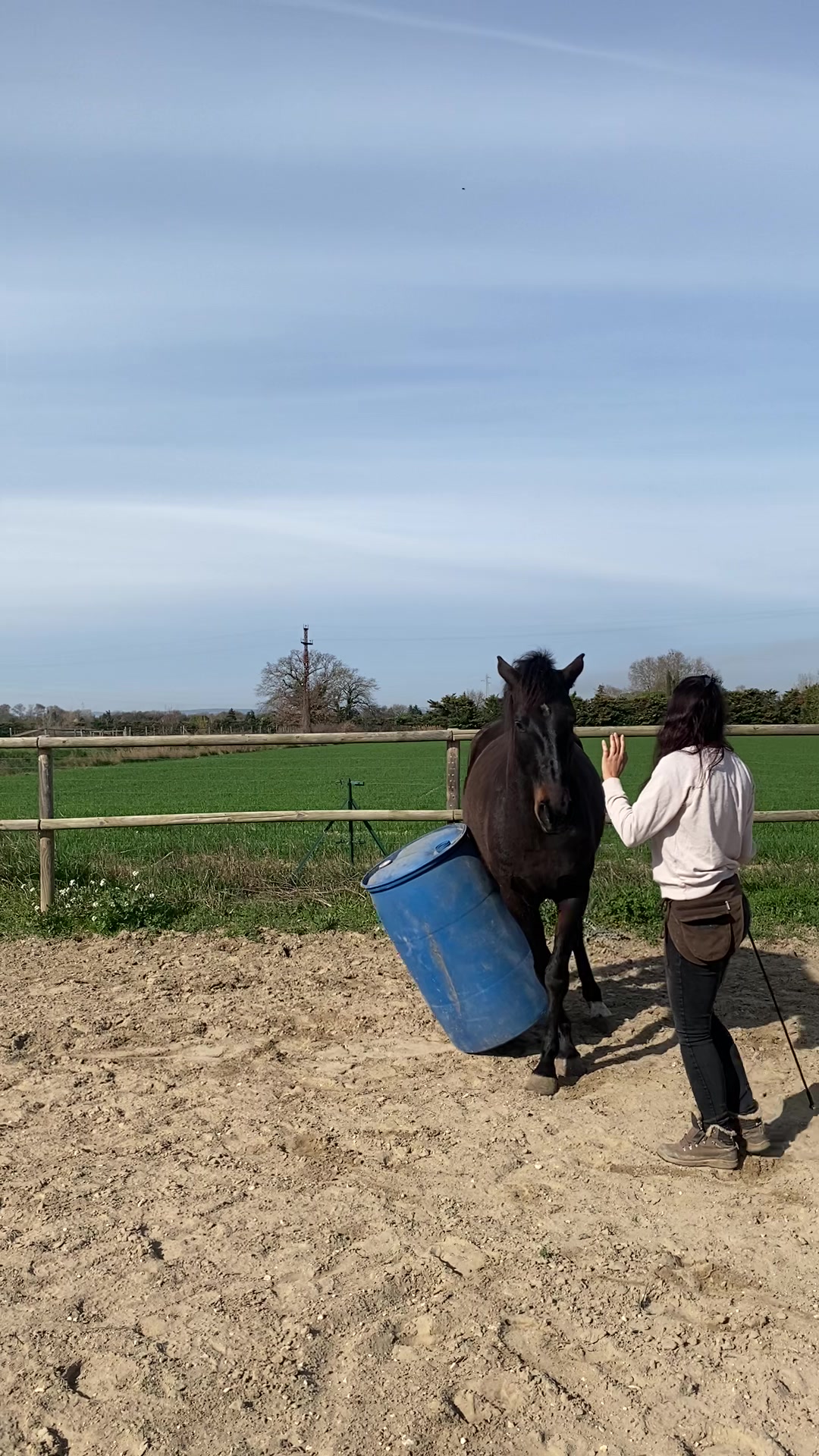 @Horsewoman Trip