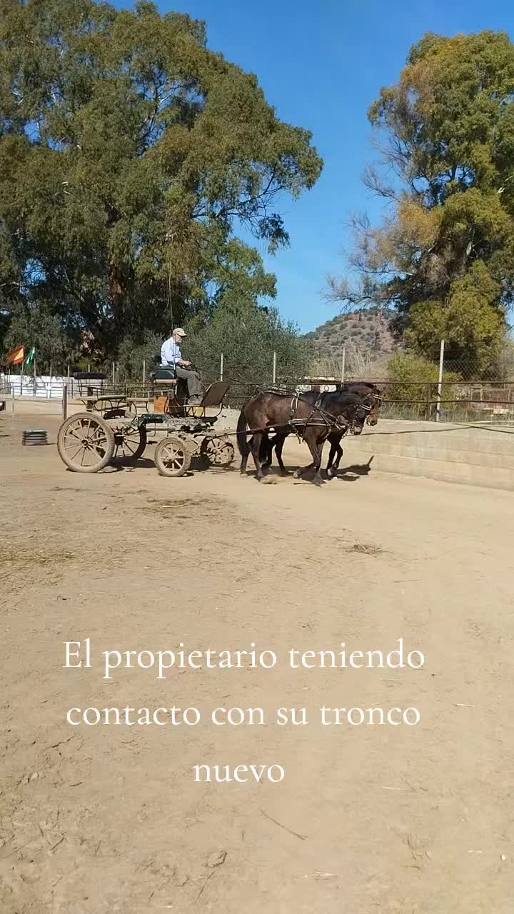 @rafa