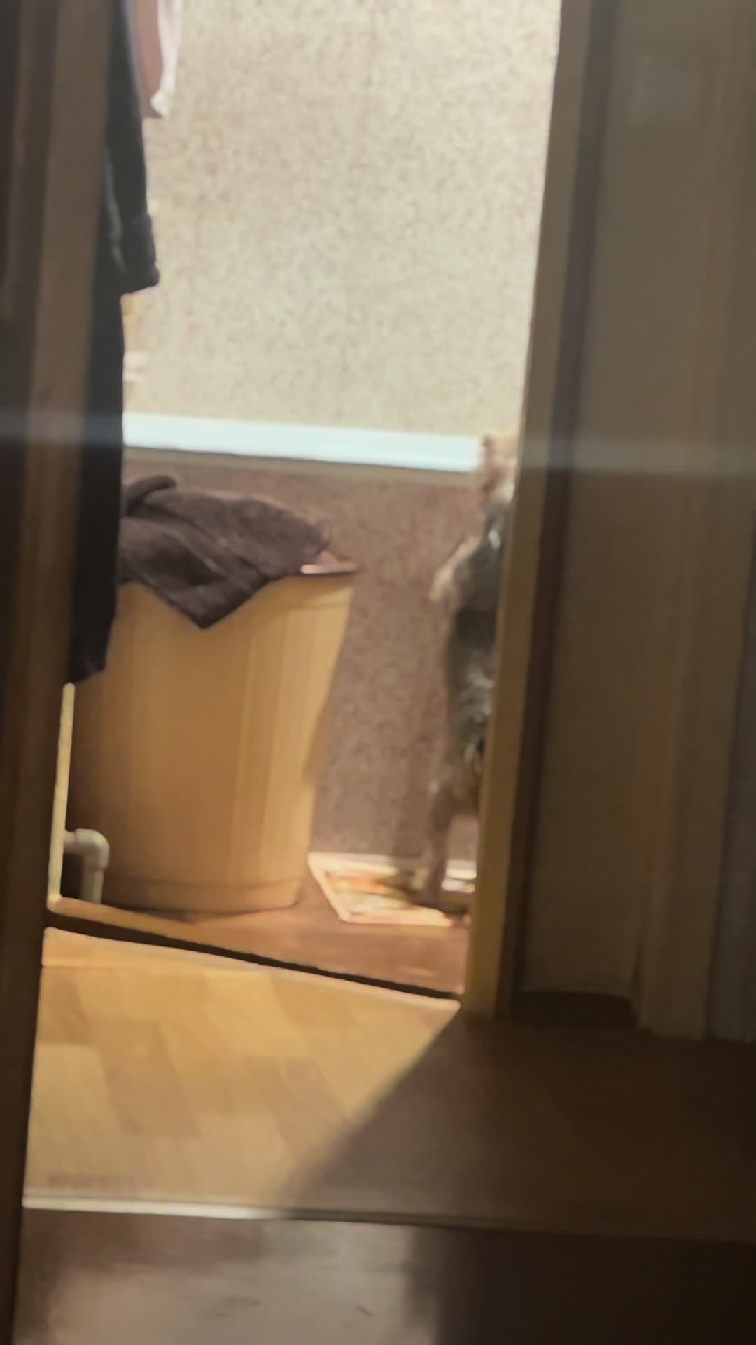 @Артем