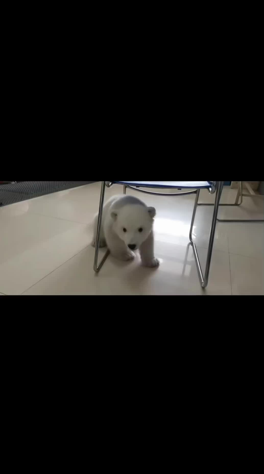 @Cute 15_05