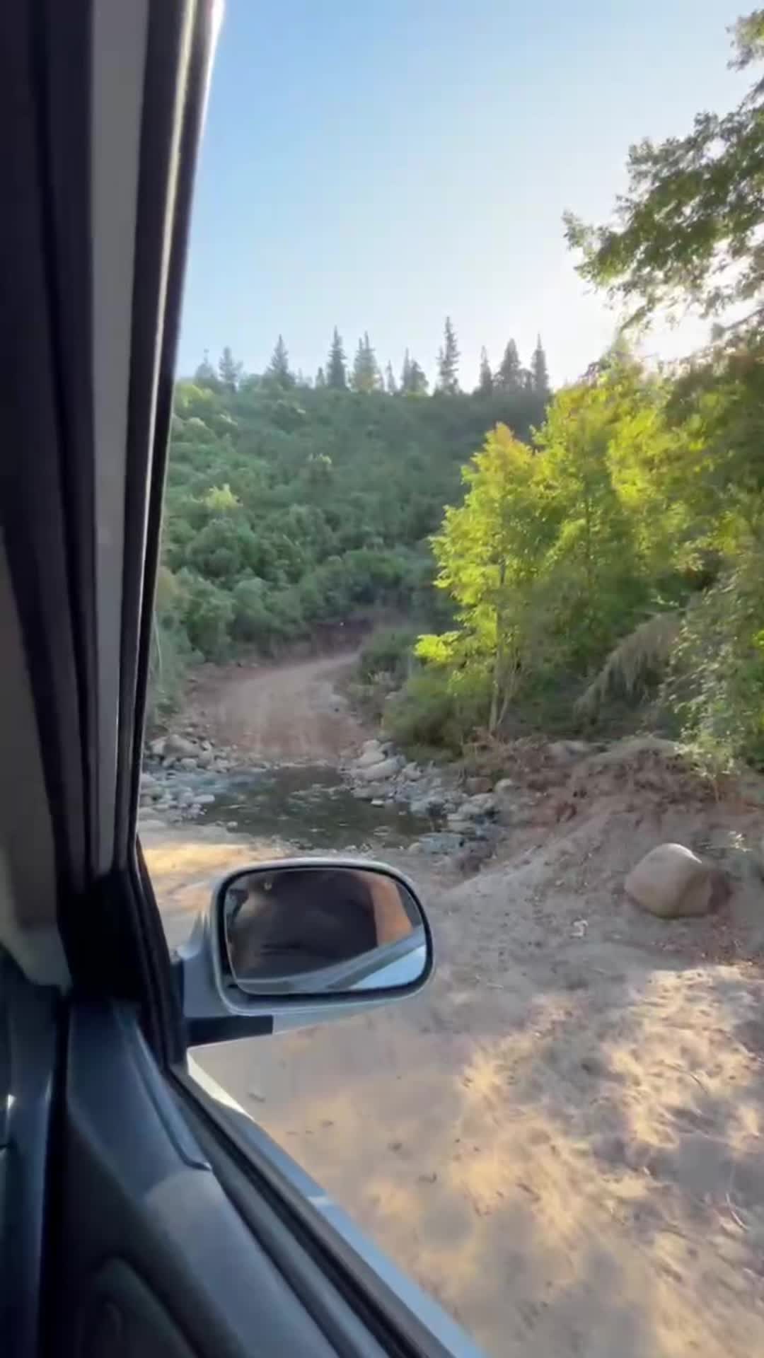 @Camilo Duran