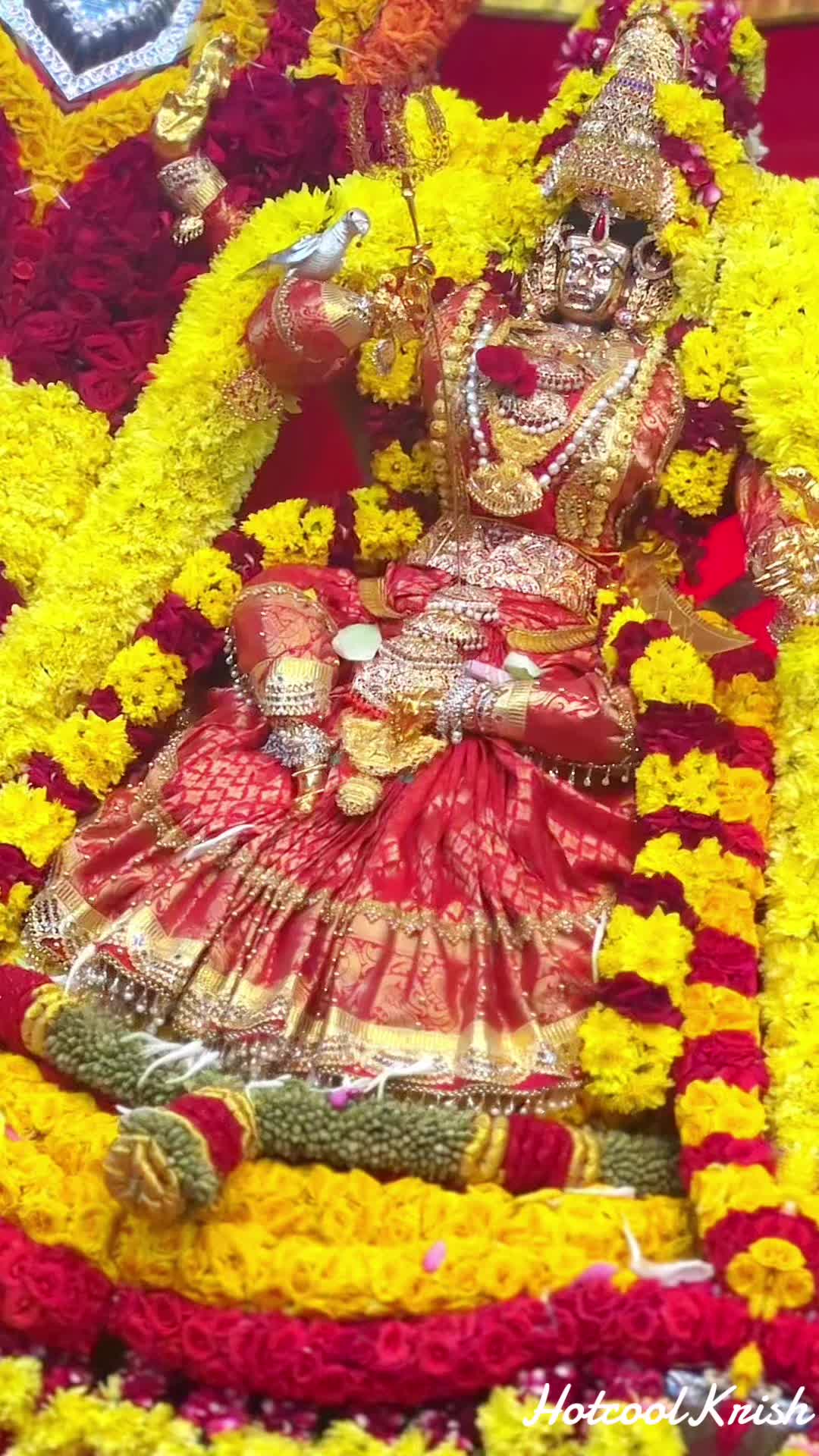 @krish