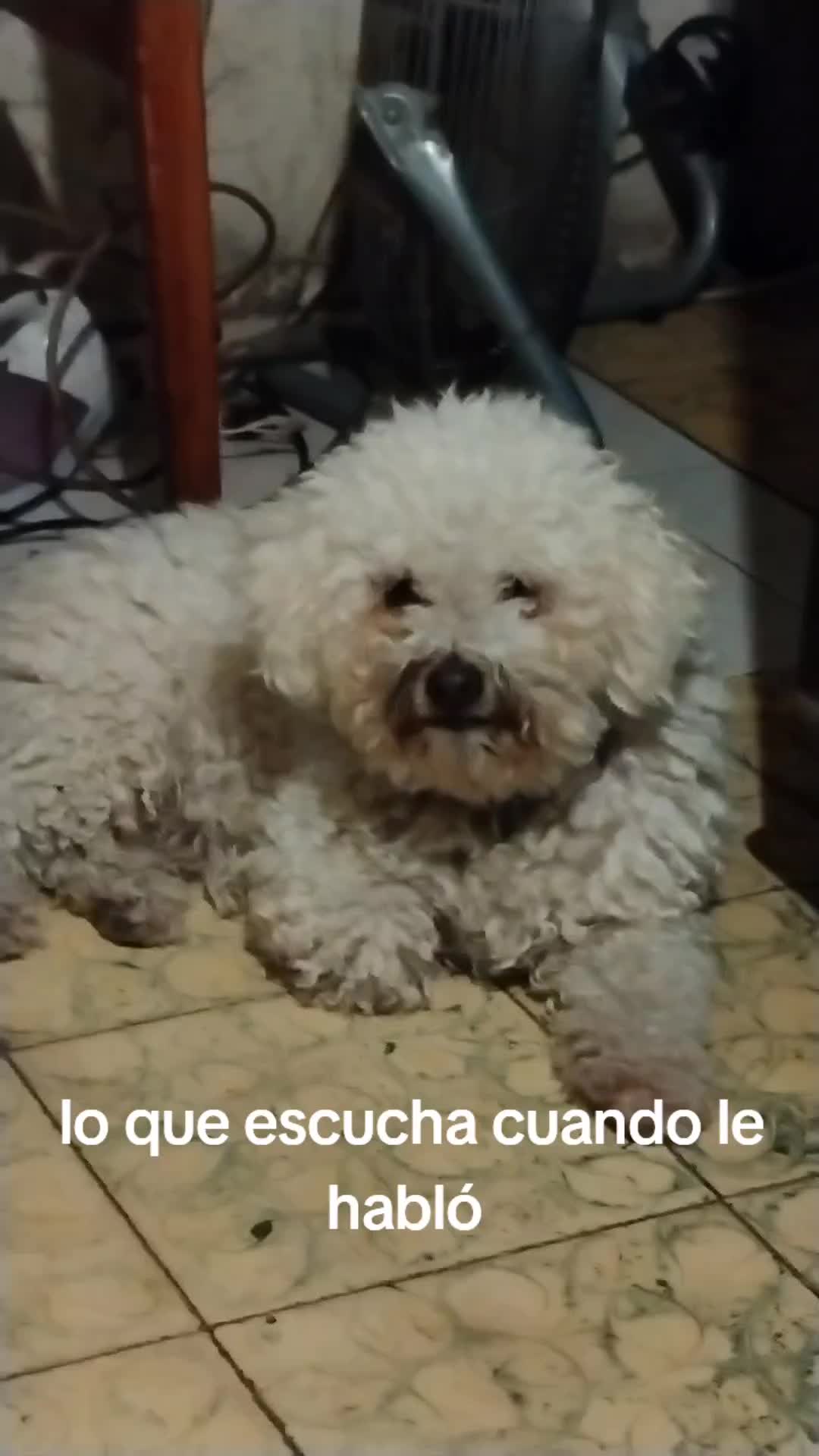 @user580093481