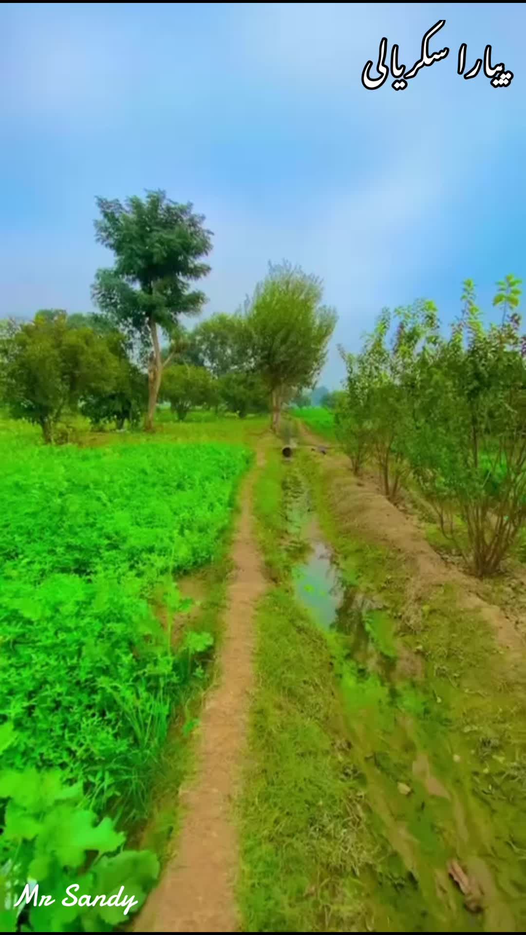 @ᗴᕼᔕᗩᑎ  ᗩᕼᗰᗴᗪ