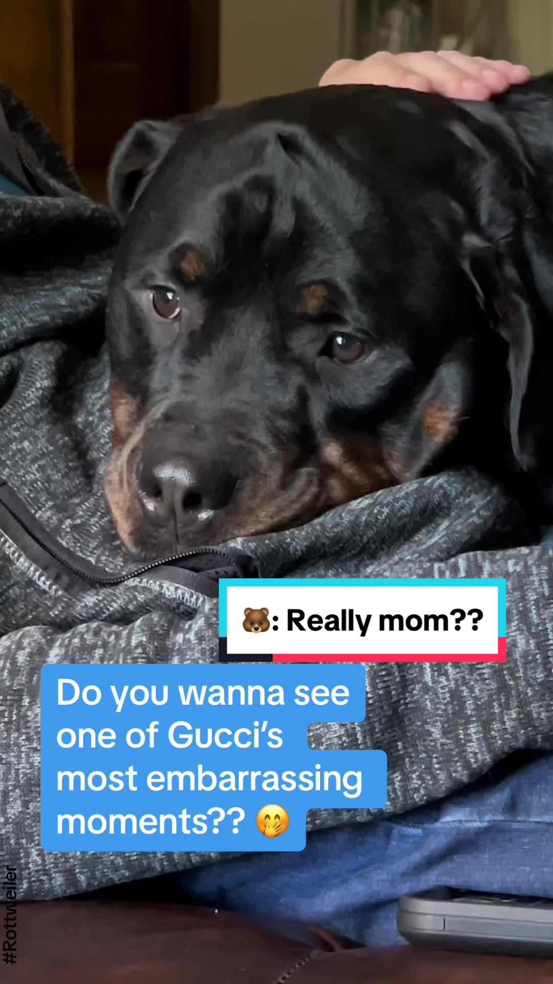 @Tiny Bear & Tiny Horse