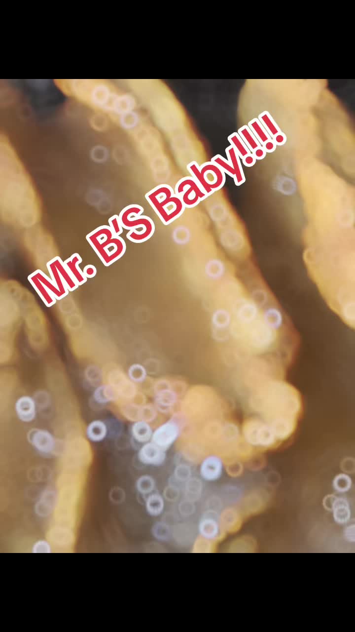 @Mr. B&rsquo;s