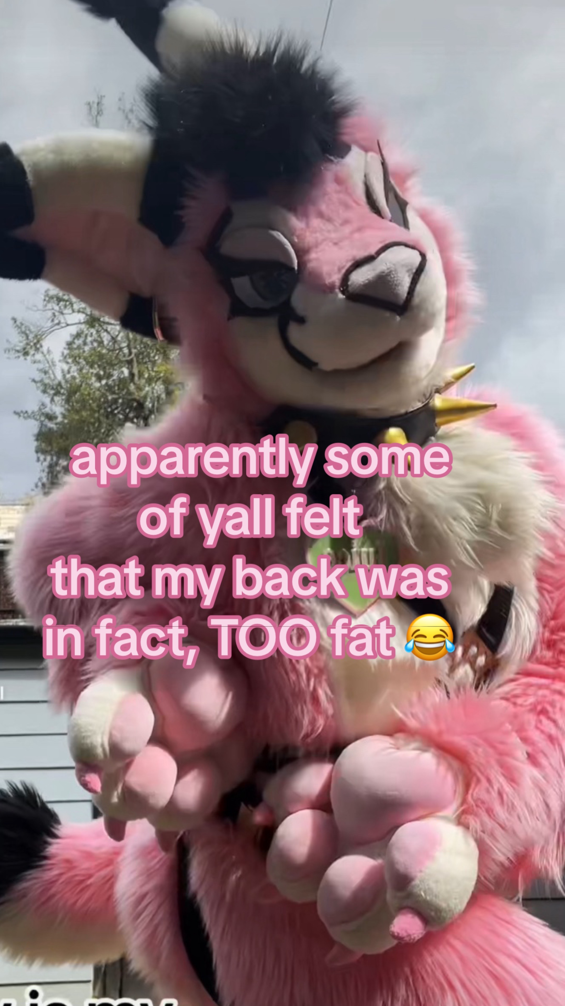 @Juice the Caracal