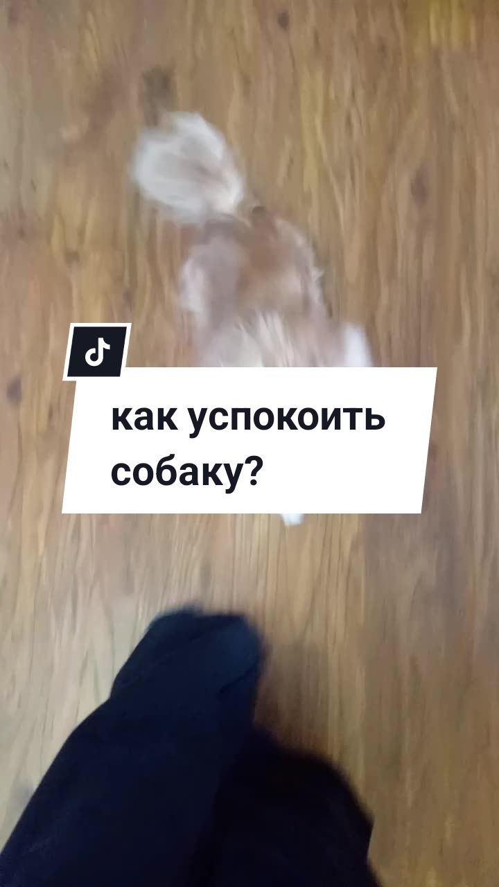 @бк💋