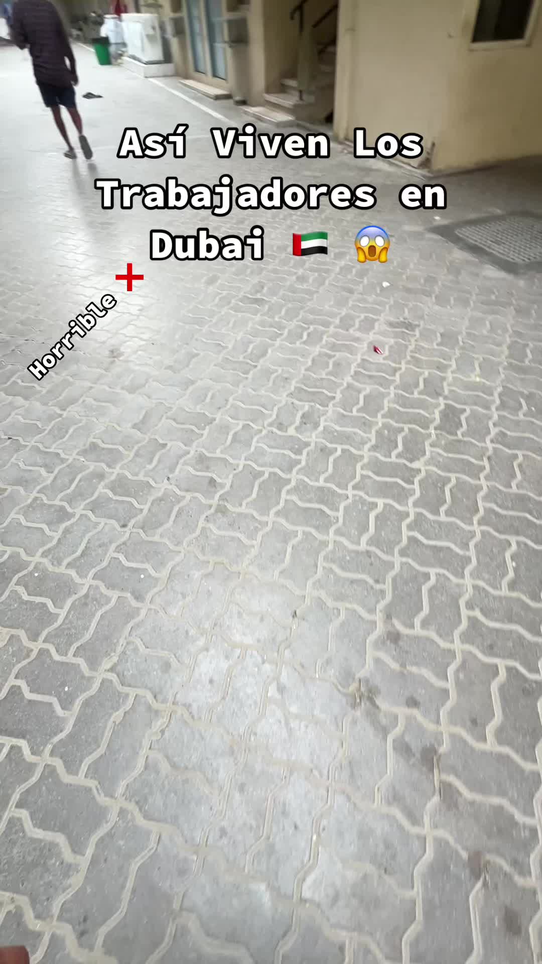 @Oscar Curi