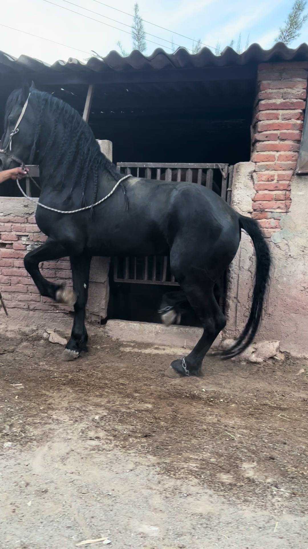 @Rober Villase&ntilde;or