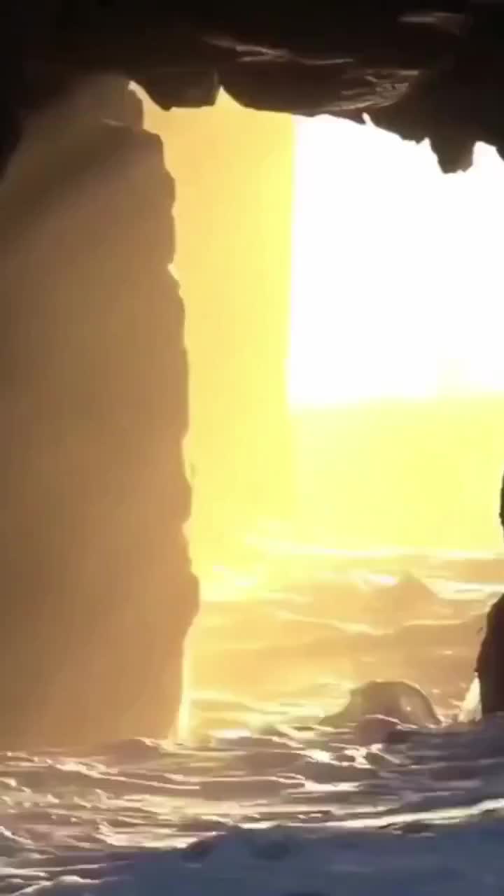 @cbdjskhbp0n