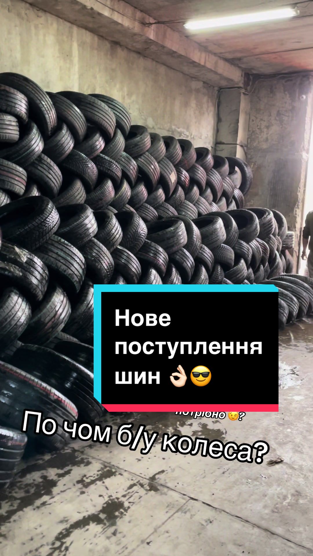 @Шина365 | Шини | Диски
