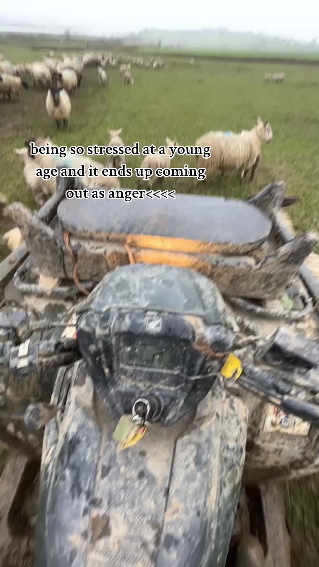 @harvey.agri🤠