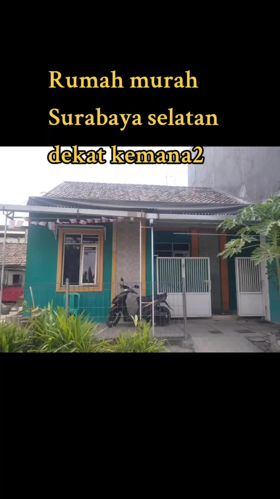 @robertuspamungka8