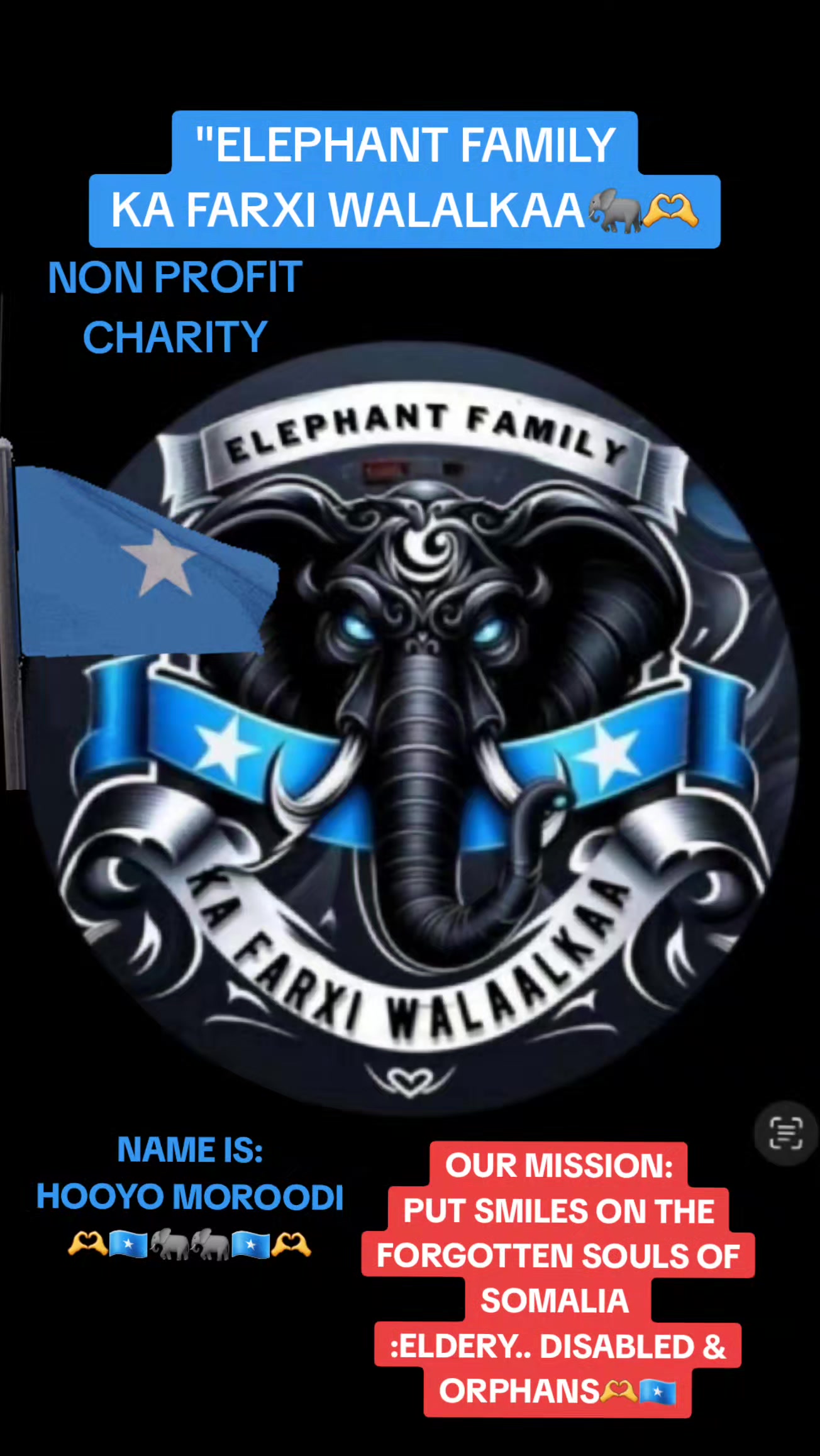@Mamaelephant💎🐘🇦🇺🦂