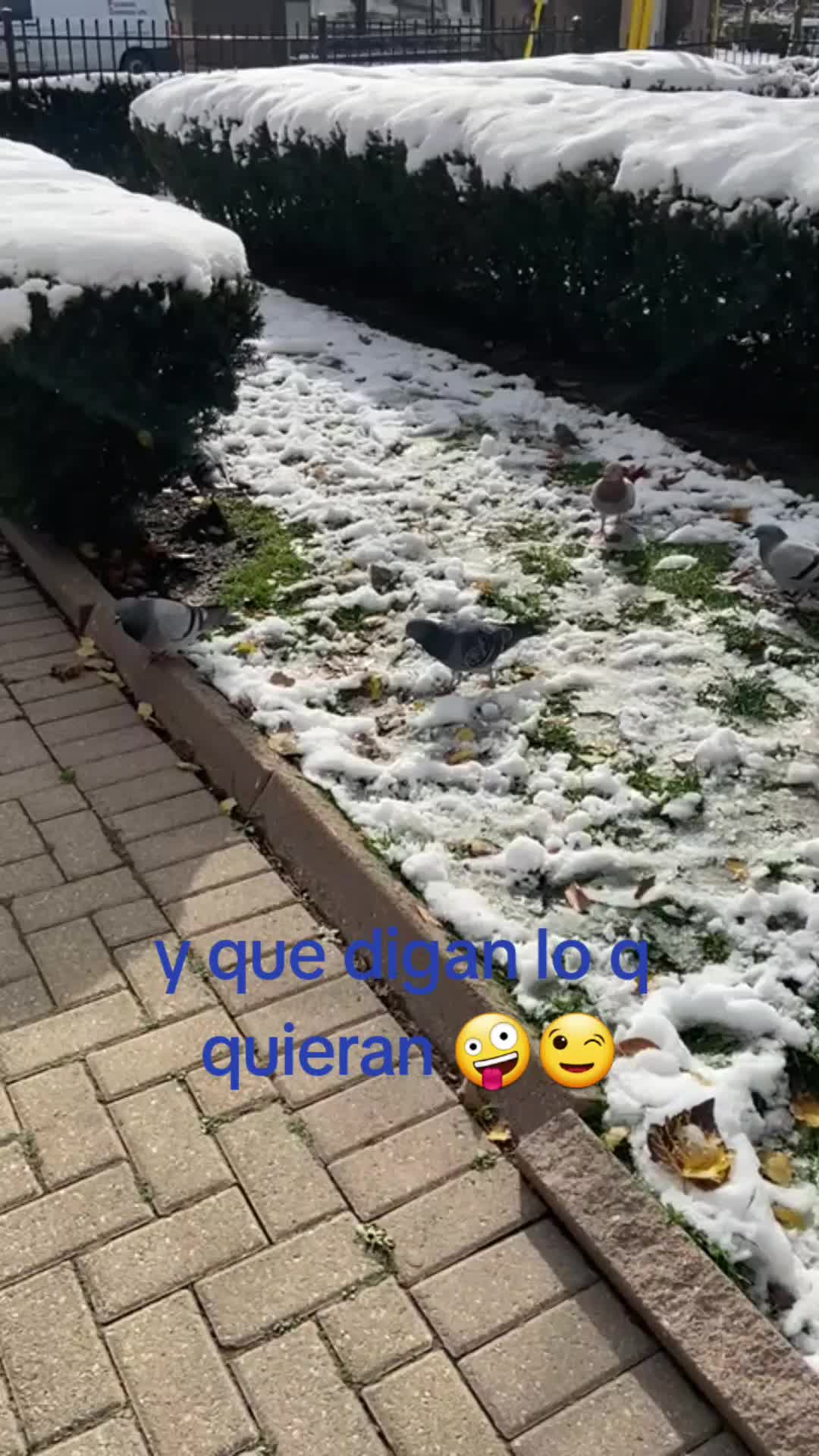 @jompiimore