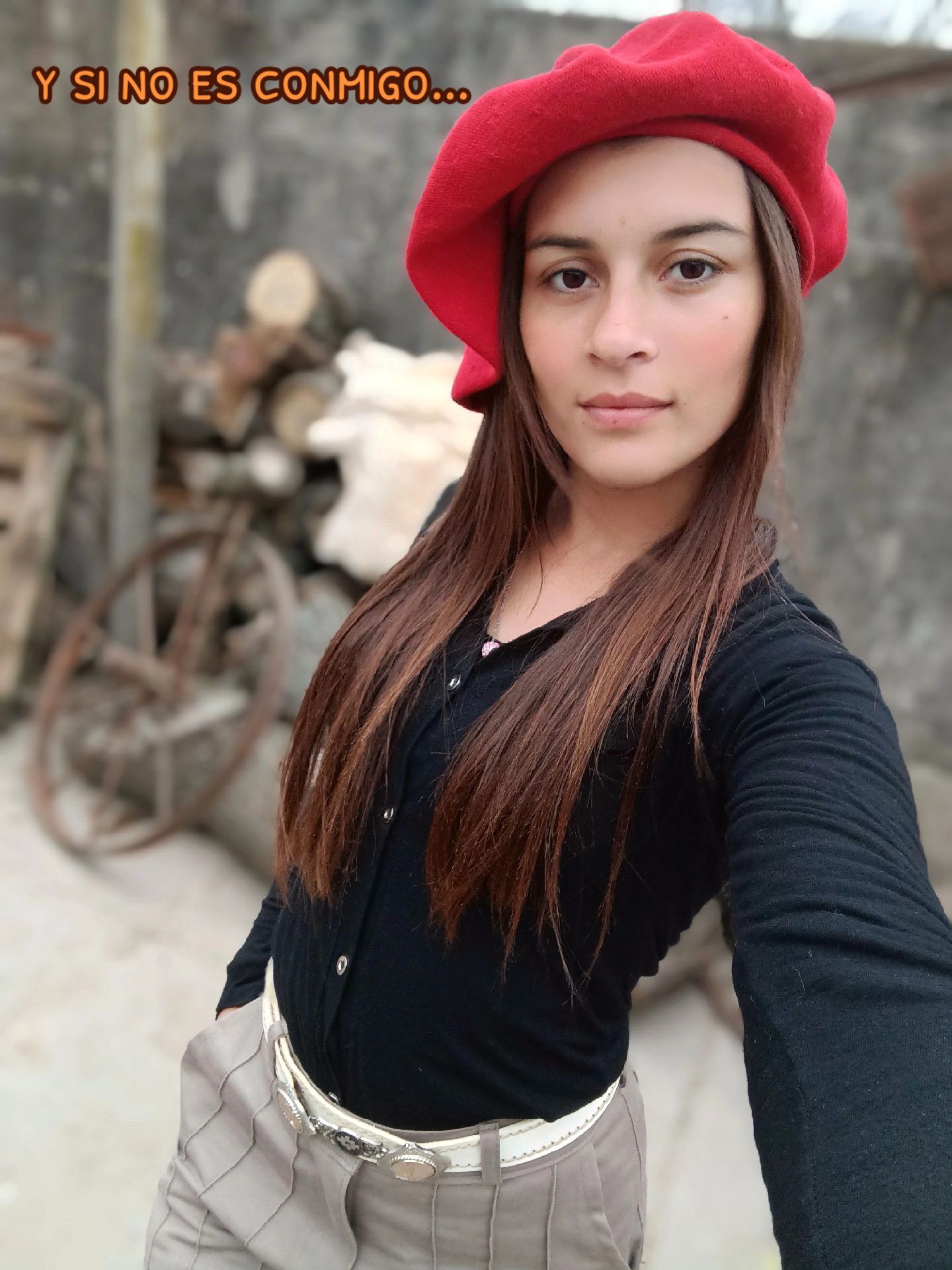 @silvinaanselmo00