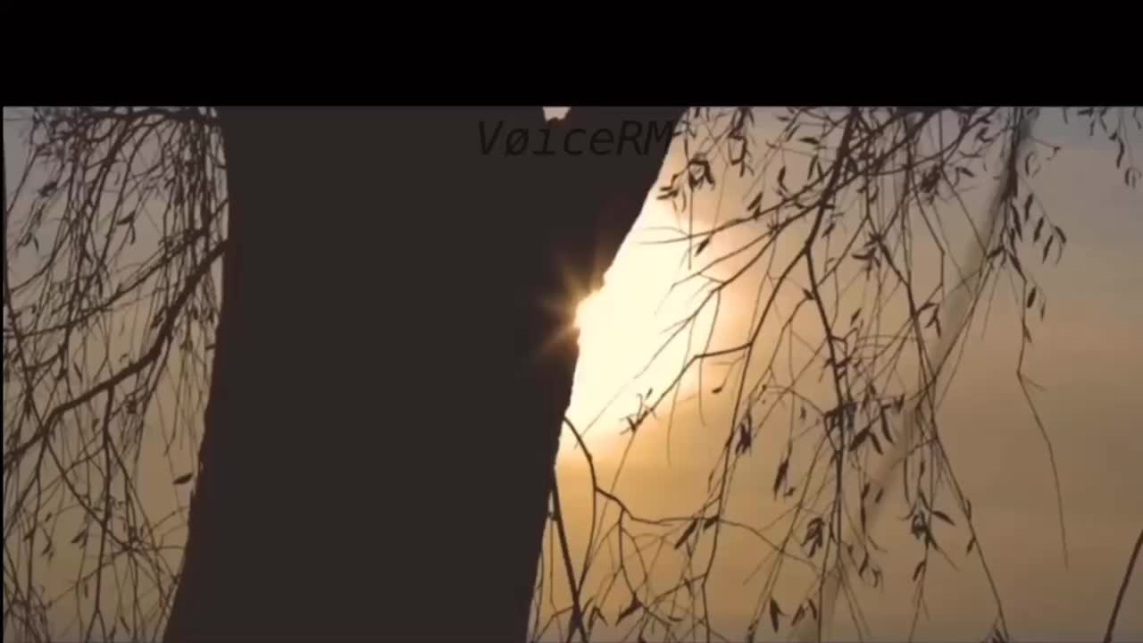 @V&oslash;iceRM