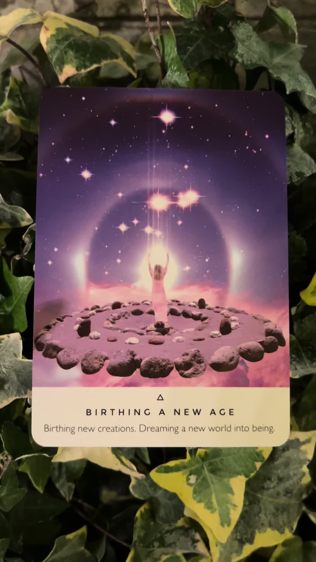 @💫 Star Keeper Oracle 🔮