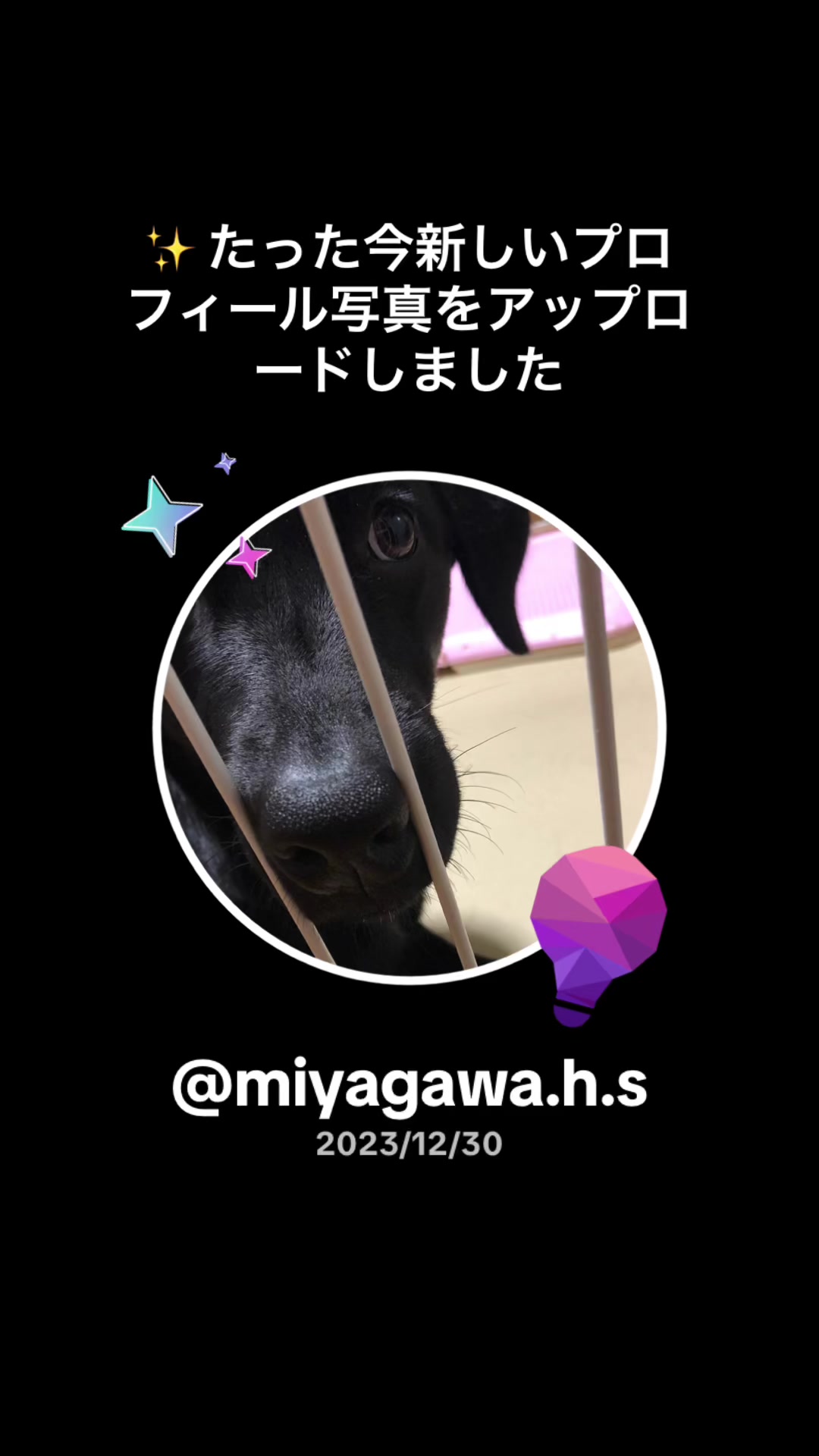 @miyagawa.h.s