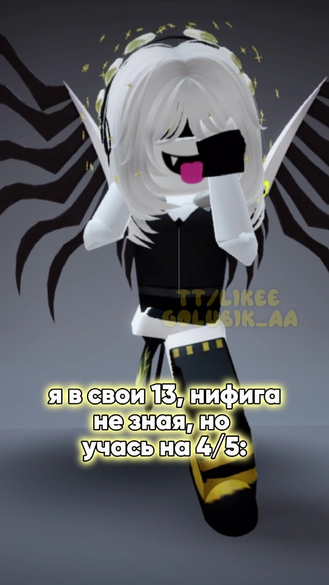 @veilin