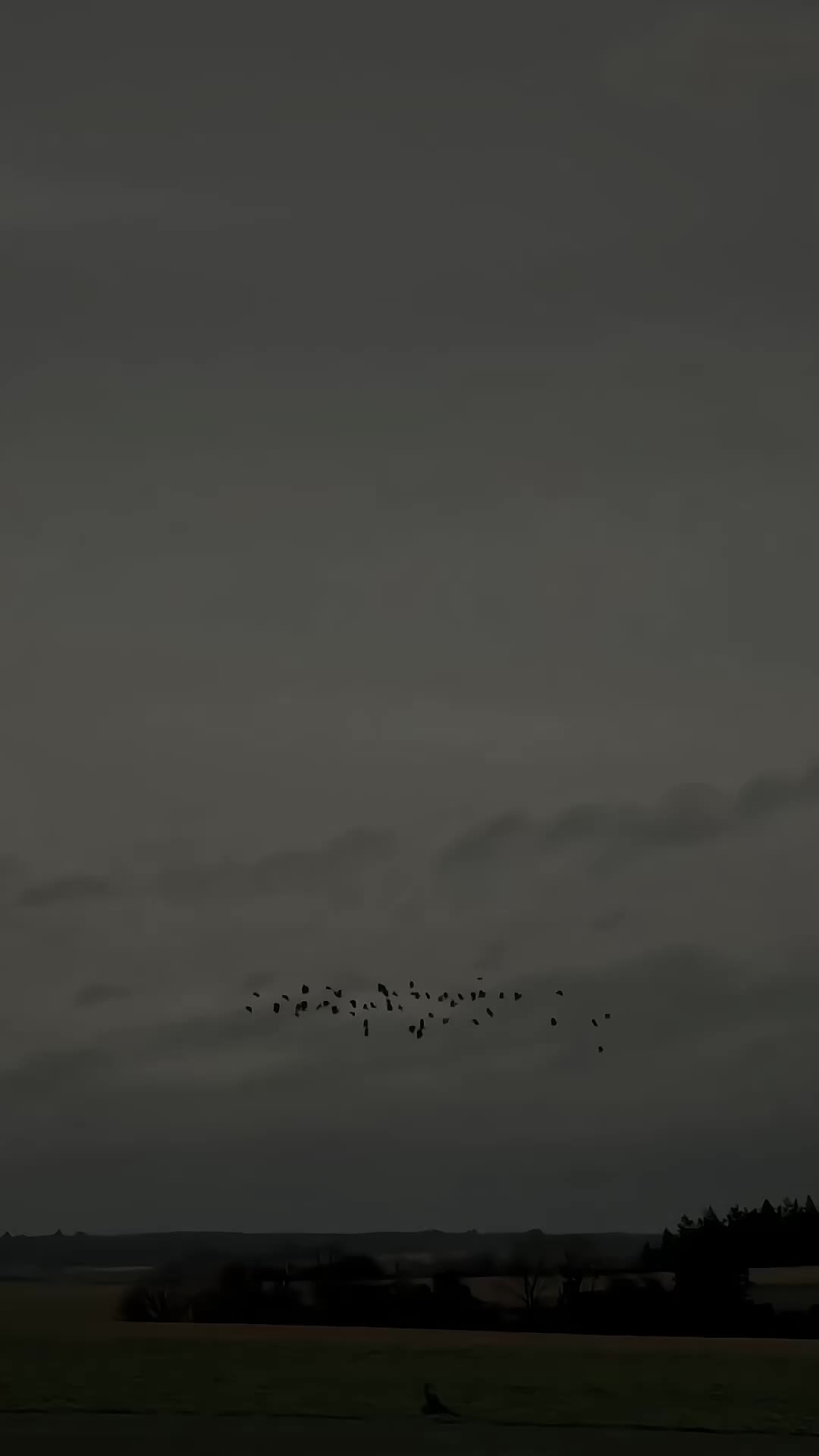 @𝒩𝒜𝒴 𝑀𝒰𝒮𝐼𝒞 ♪