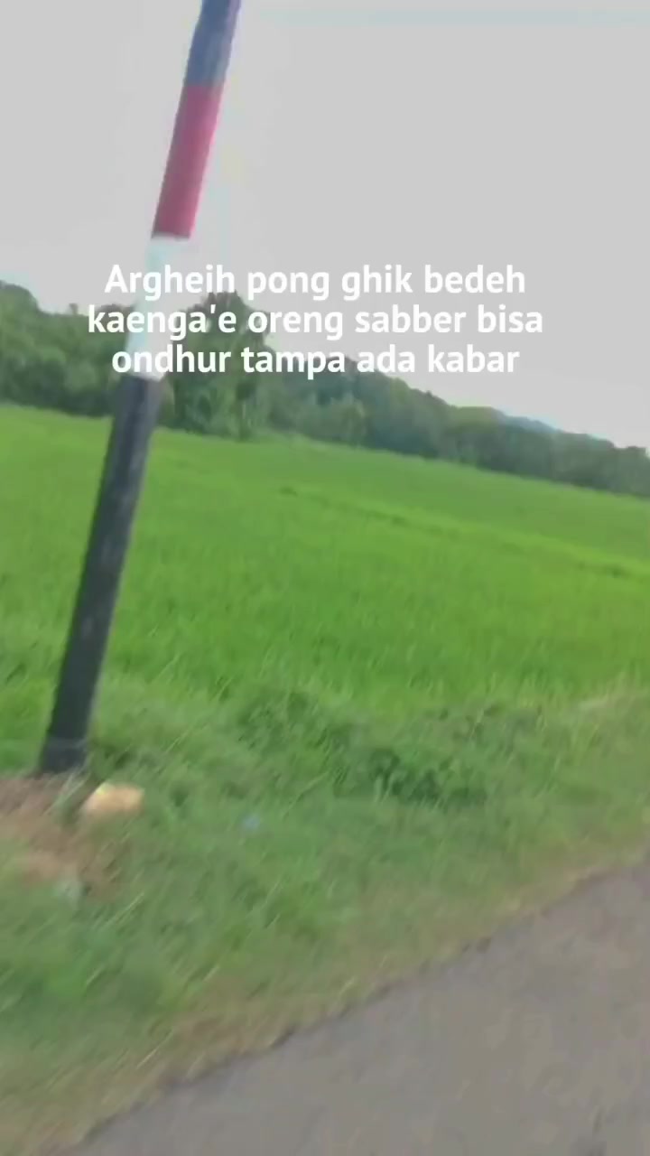 @Tobat