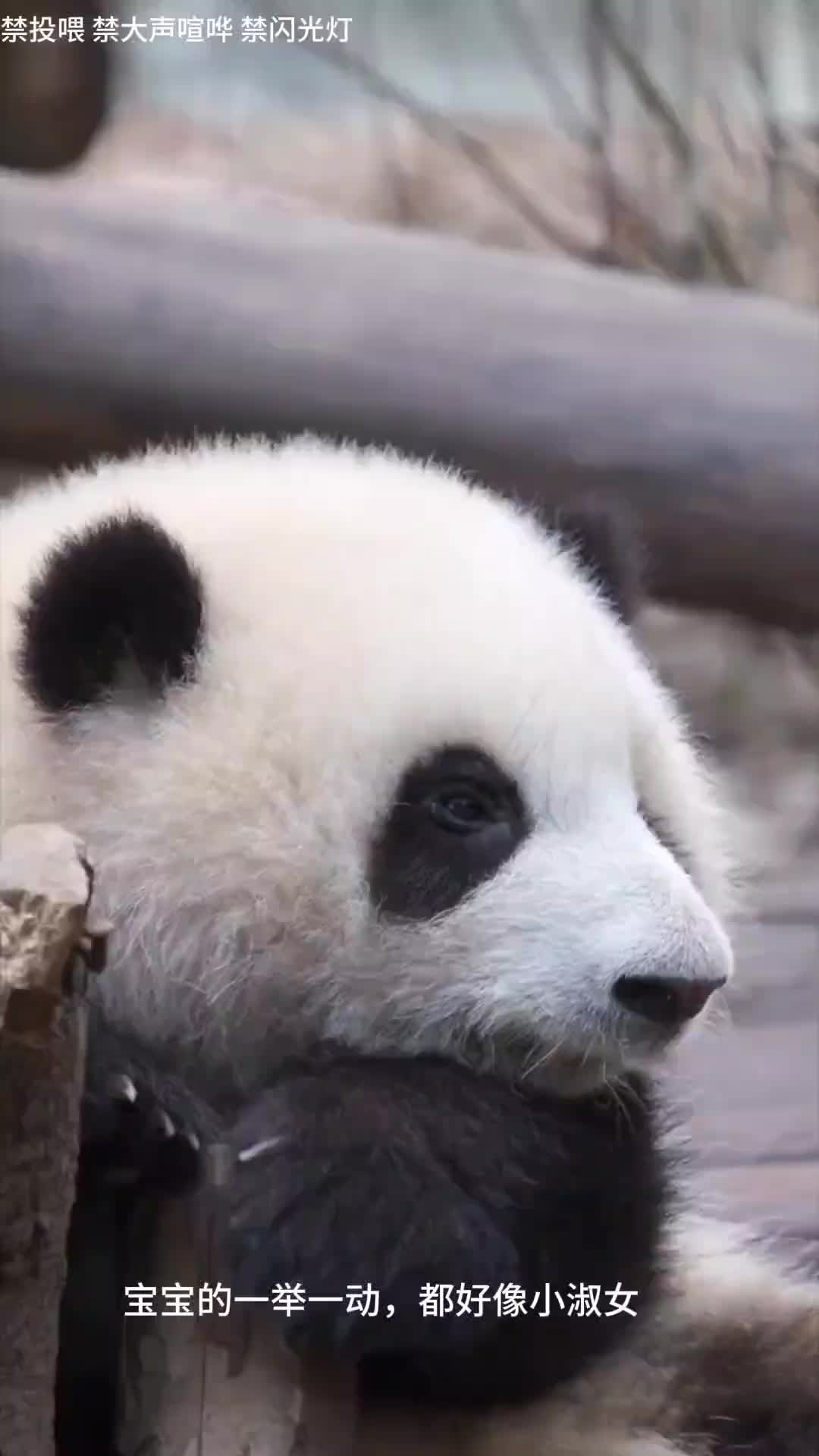 @Ởđ&acirc;yc&oacute;sựđ&aacute;ngiucủa HoaHoa 🌸