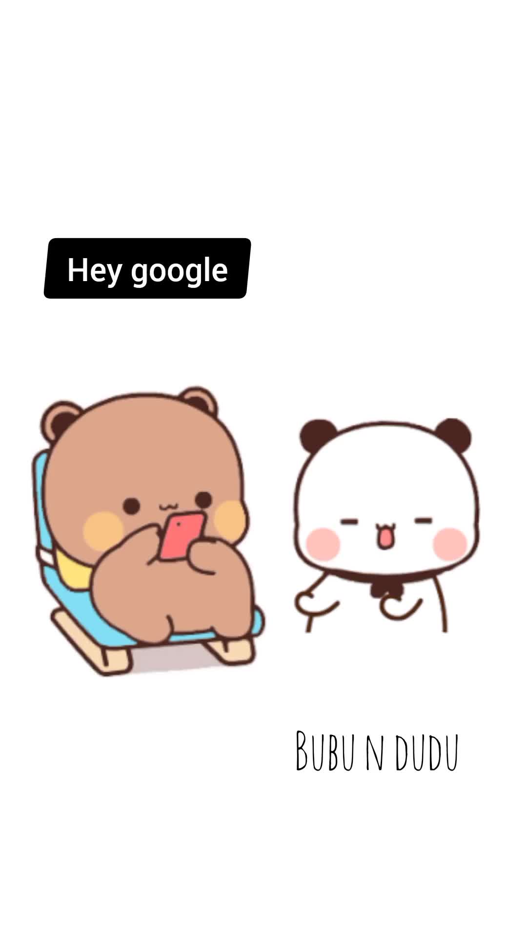 @Bubu n' Dudu