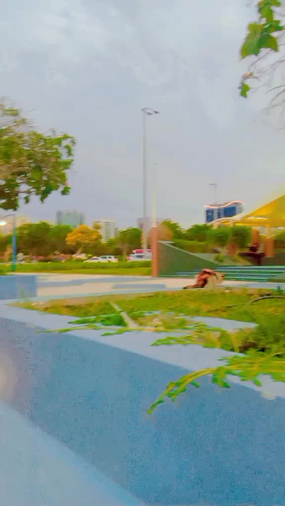 @Wajaحat PTI 🐆