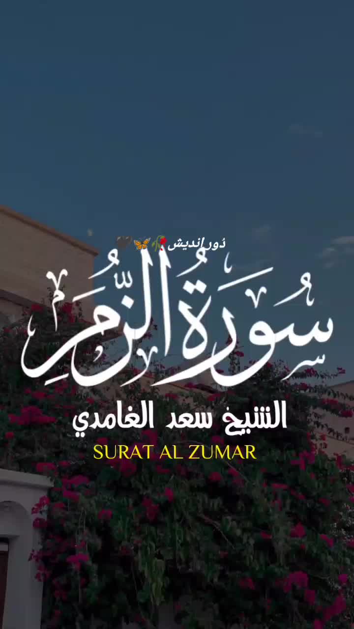 @آدم بیزار 🖤🥀