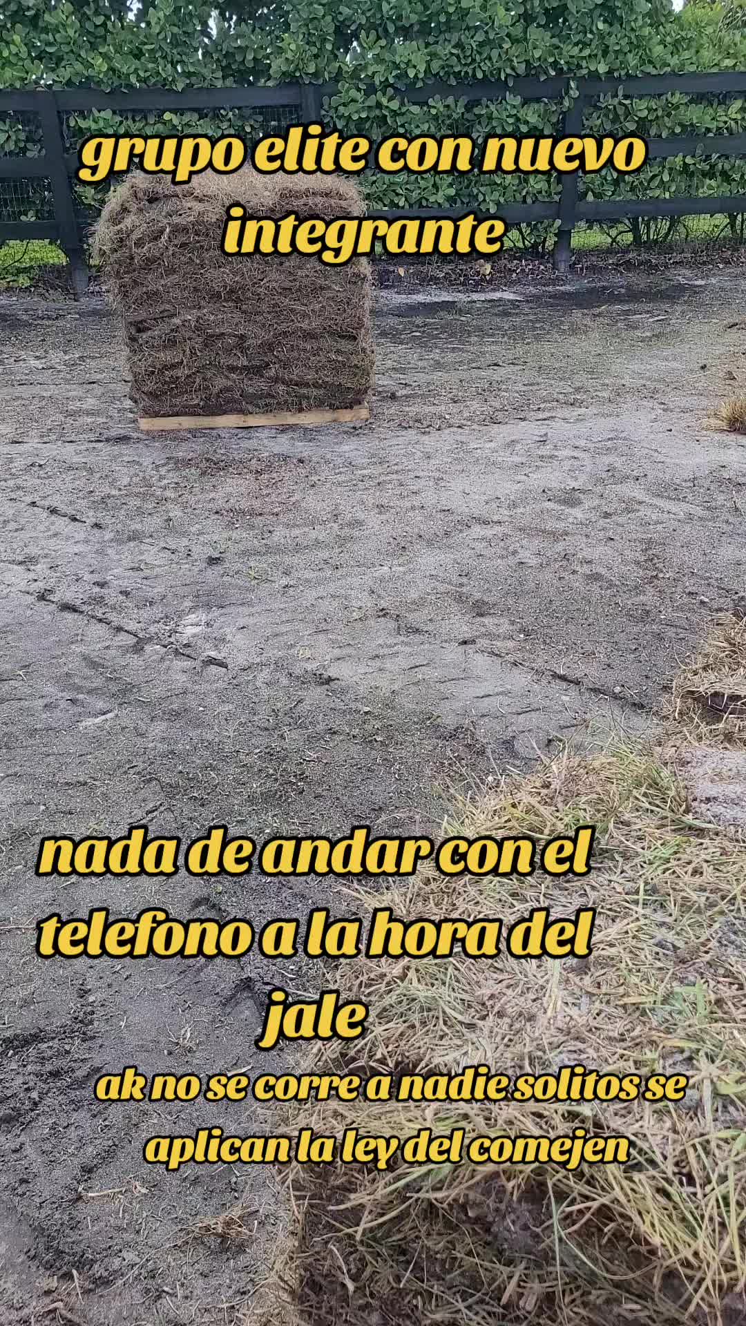 @El sic&oacute;logo de la garza