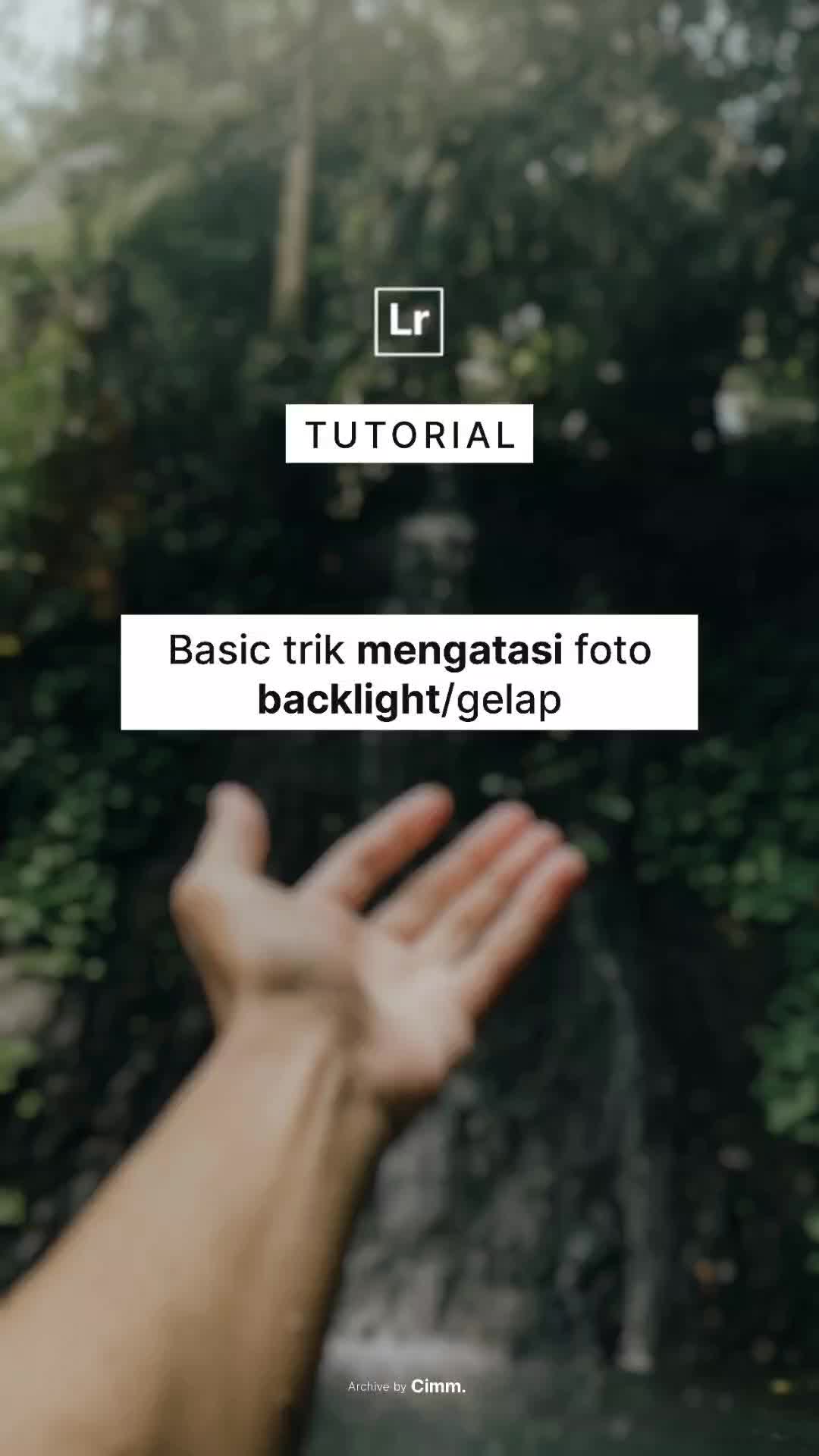 @Cimmm.