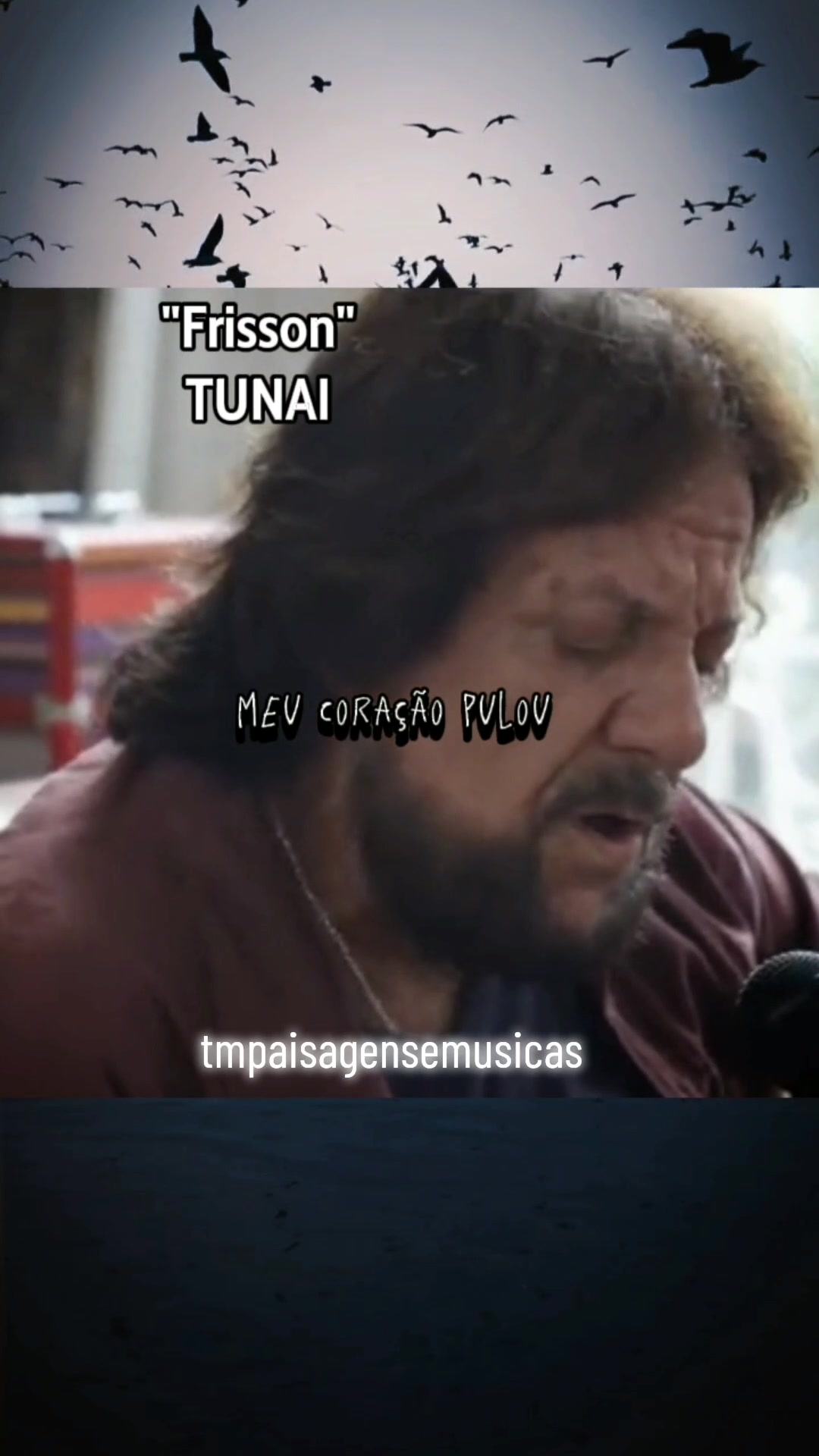 @TM Paisagens e M&uacute;sicas