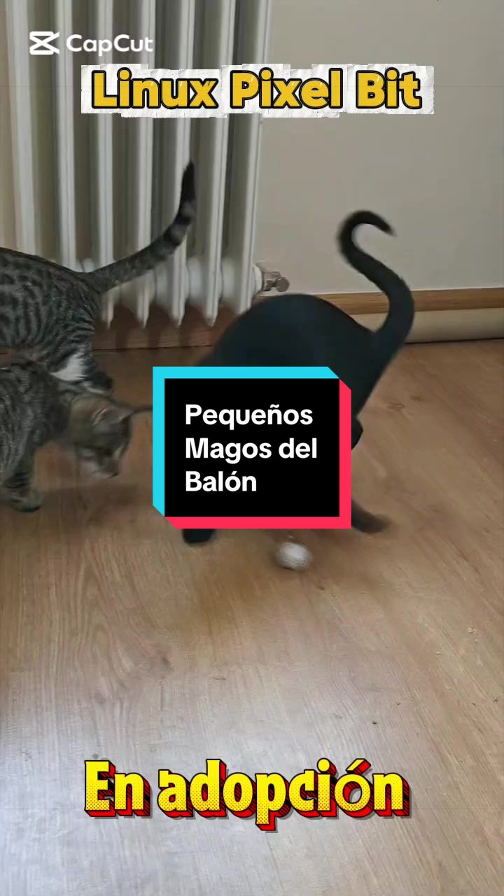 @enGatadas