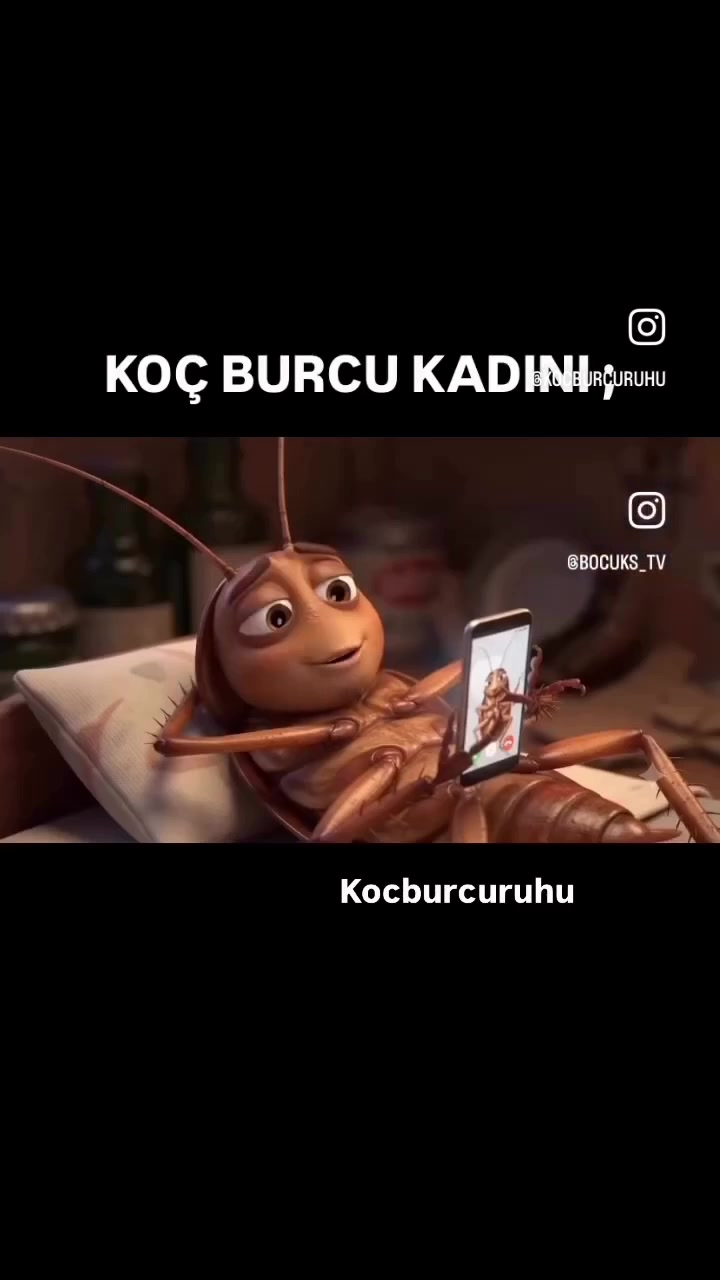 @kocburcu6