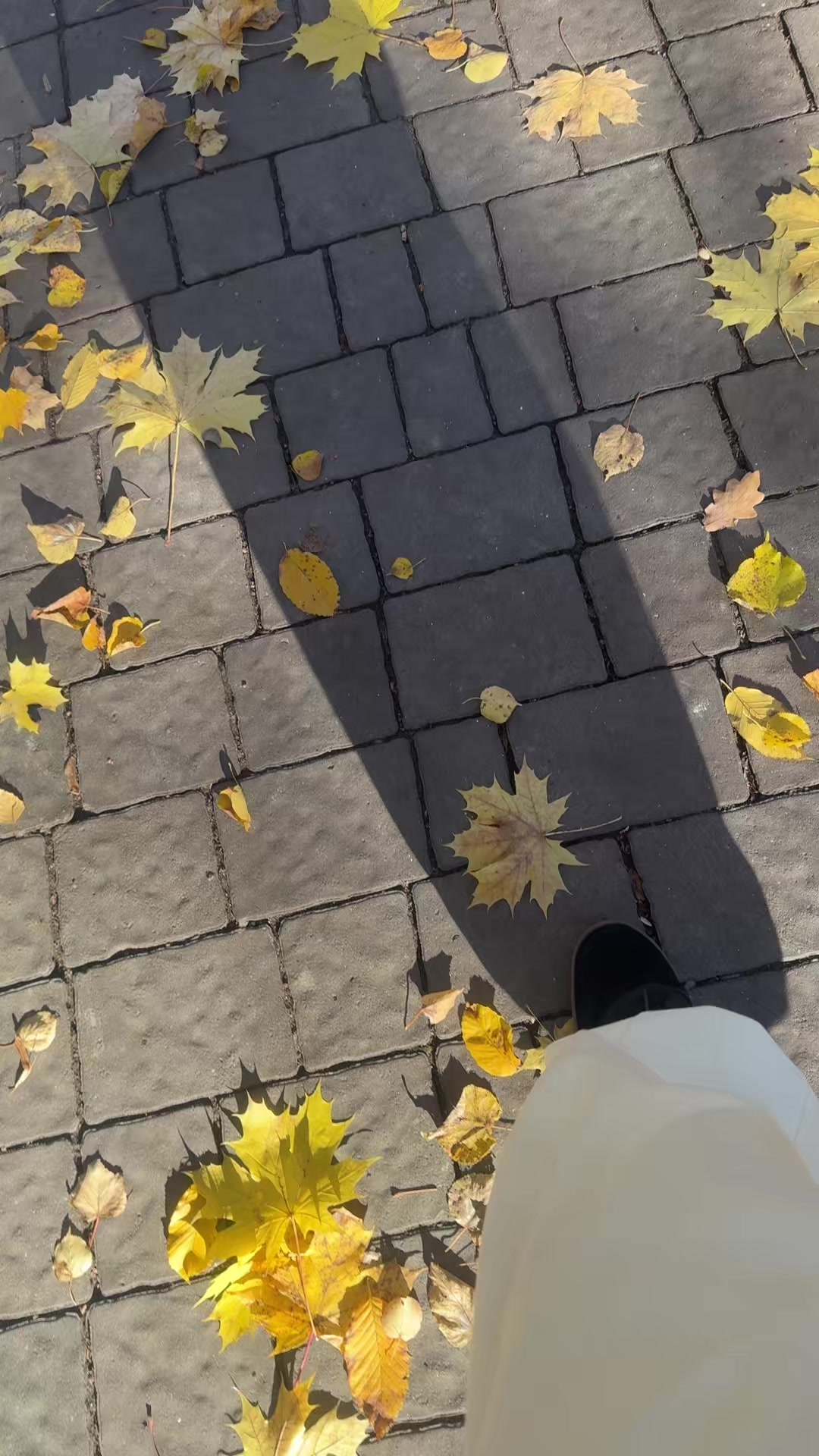 @Л;з@_ун_ька