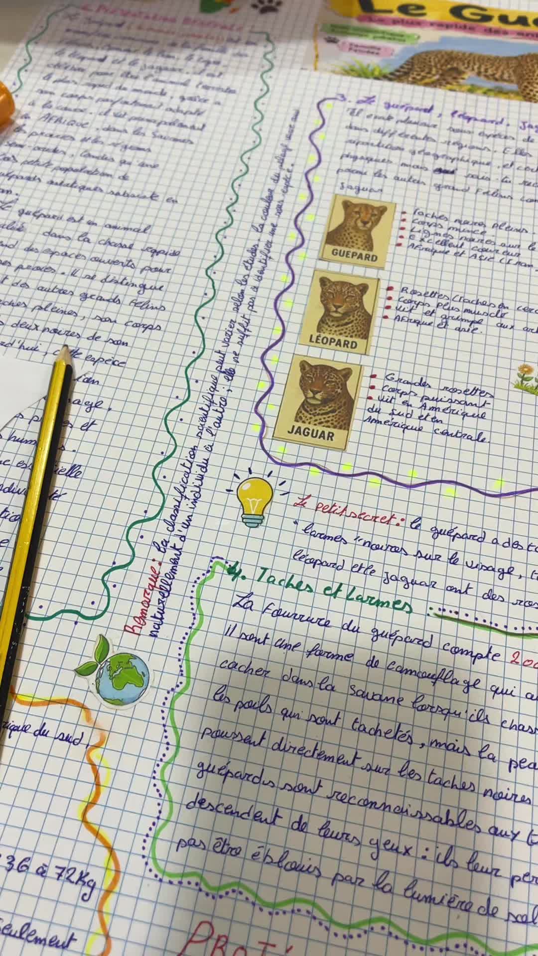 @Bouثaina