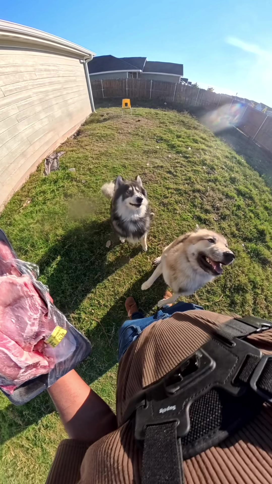 @Neko, Tokahli and Bear