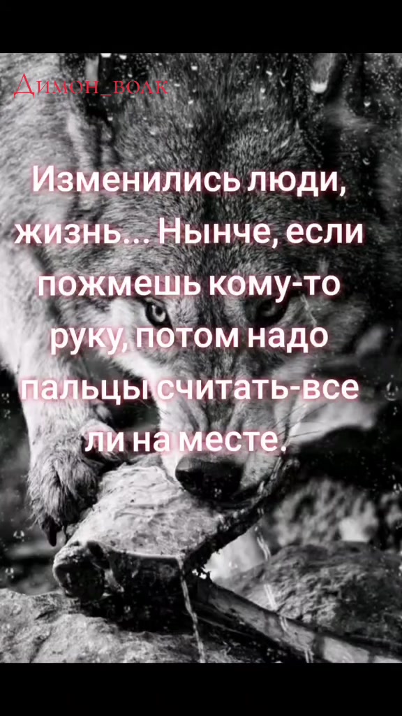 @✸Димон_Волк✸