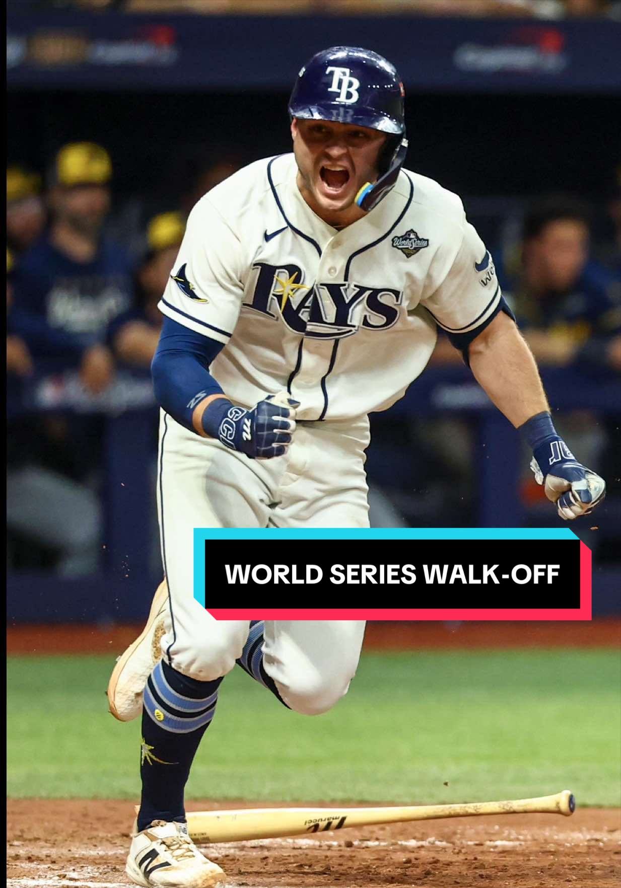 @TAMPA BAY RAYS