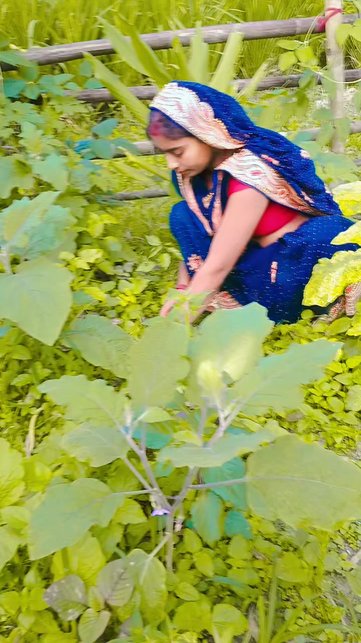 @parwati mehta