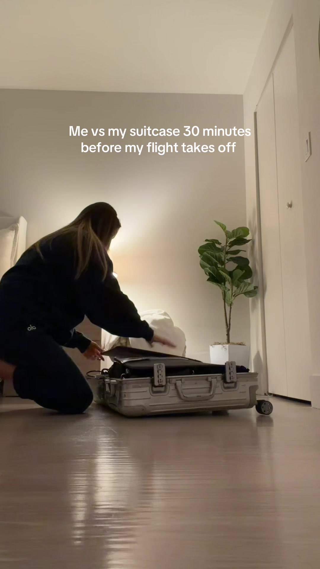 @Ava Majury