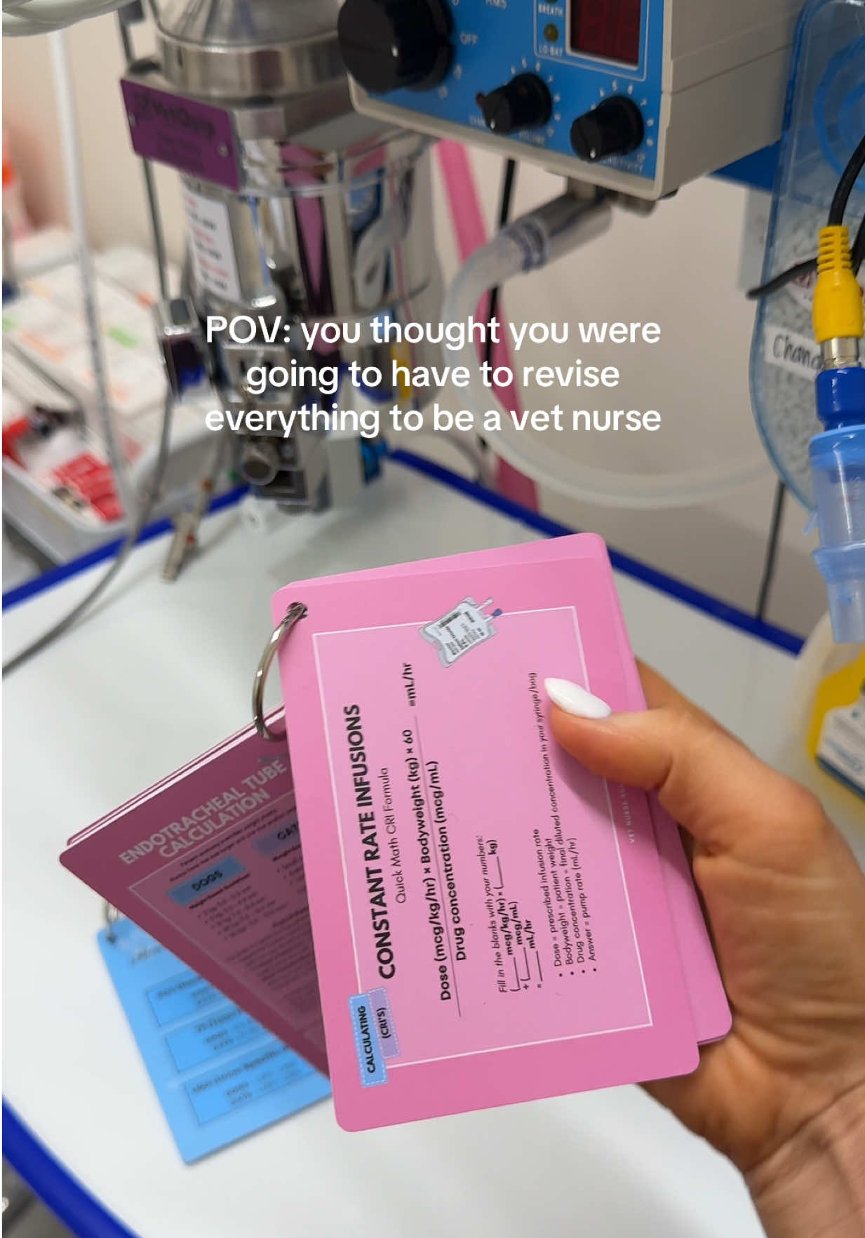 @Tess the Vet Nurse