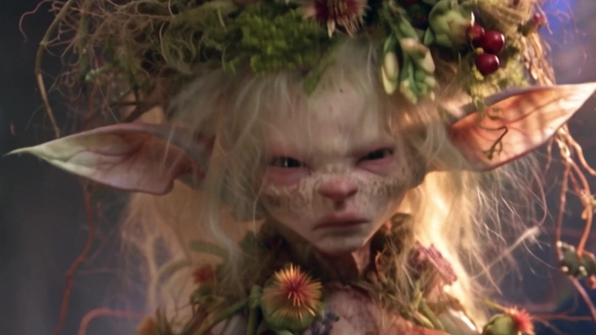 @Fae Nest