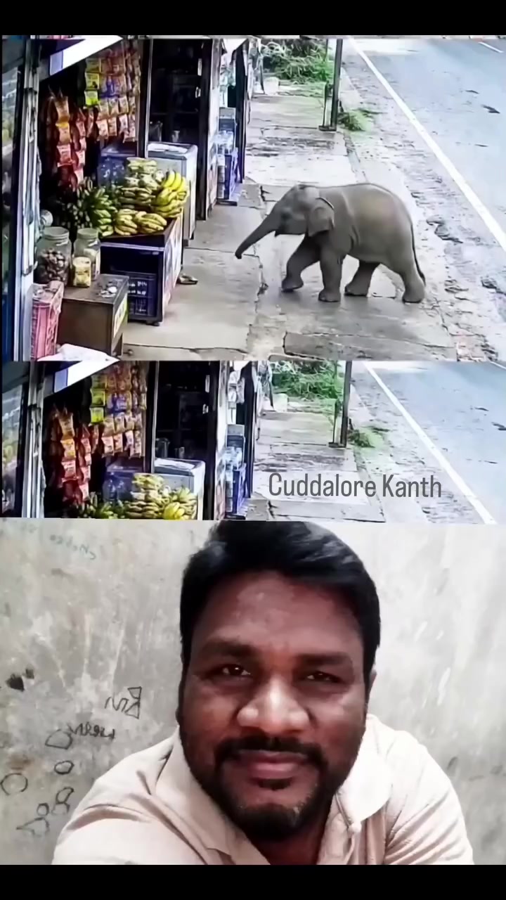@⚔️ பழனி🤳 பாபா✍️ மாணவர்கள்⚔️🤫