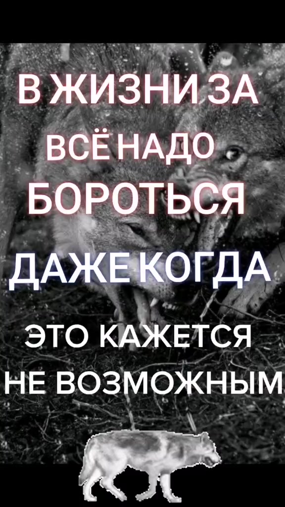 @✸Димон_Волк✸
