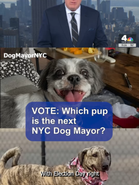 @NBC New York