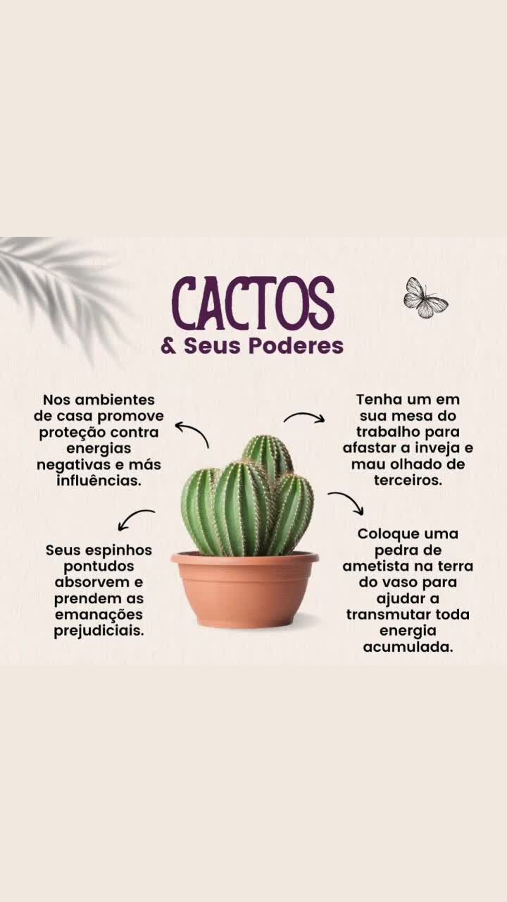 @Marysol