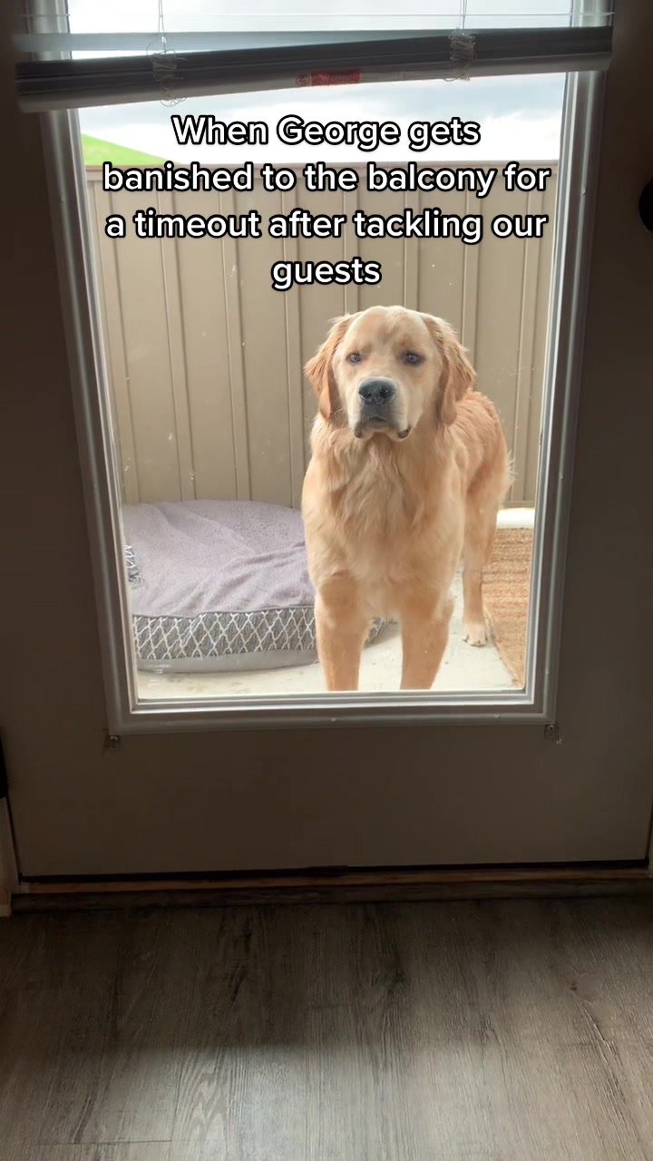 @George The Golden
